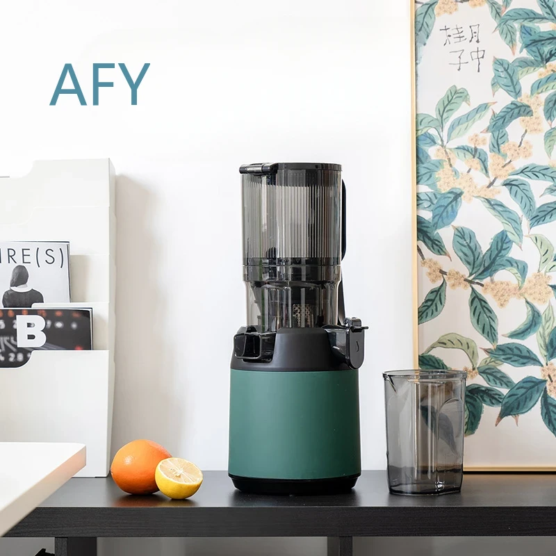 220V Slow Juicer Cold Press Ex - đánh giá và giá Electric Slow Juicer Cold Press