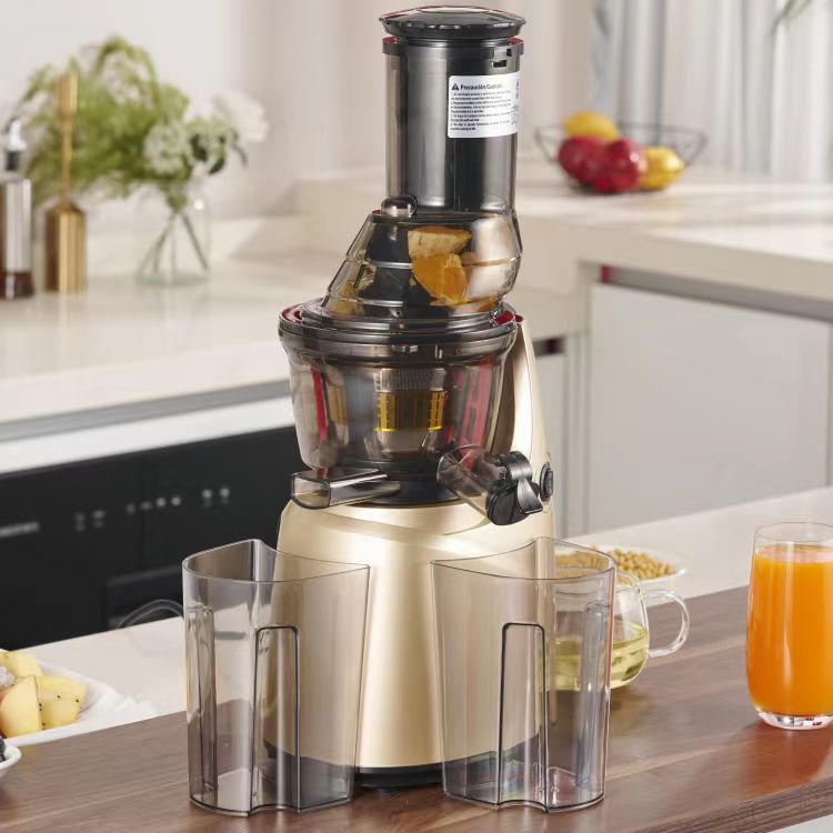 Best Stainless Steel 60 Househ - đánh giá và giá Electric Slow Juicer Cold Press