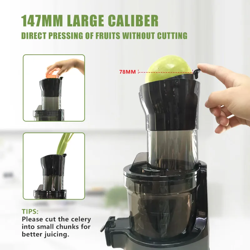 FirmHome StoreIslow Orange Cit - đánh giá và giá Electric Slow Juicer Cold Press