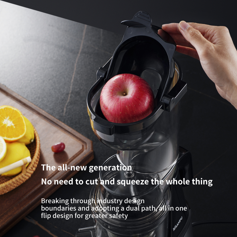 Vegetable Fruit Orange Extract - đánh giá và giá Electric Slow Juicer Cold Press