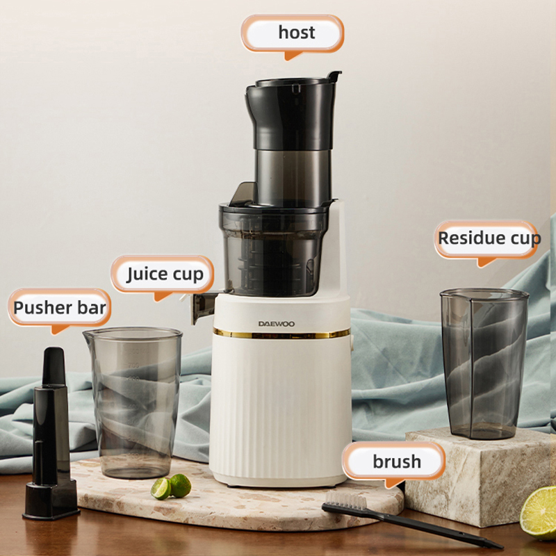 Portable Blender Electric Slow - đánh giá và giá Electric Slow Juicer Cold Press