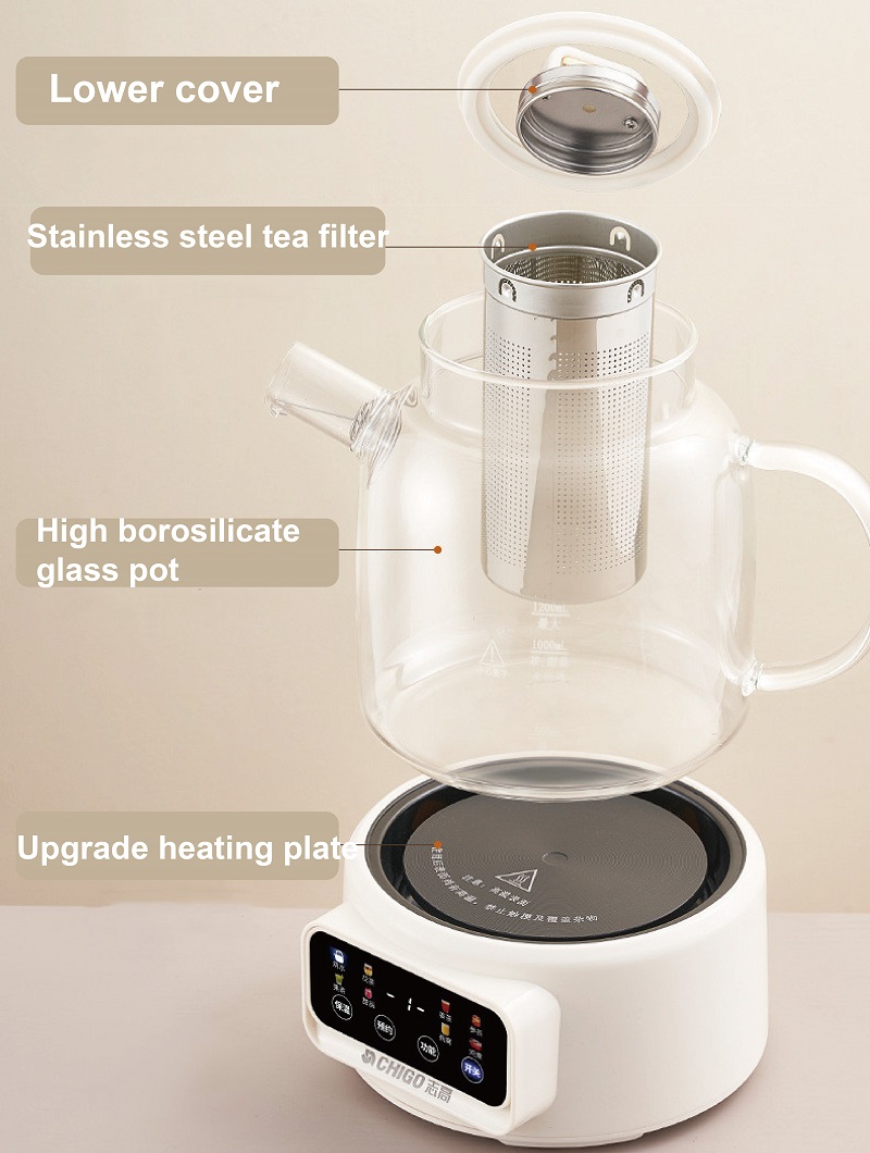 600W Multi-function Health Ket - đánh giá và giá Electric Kettle Temperature Control